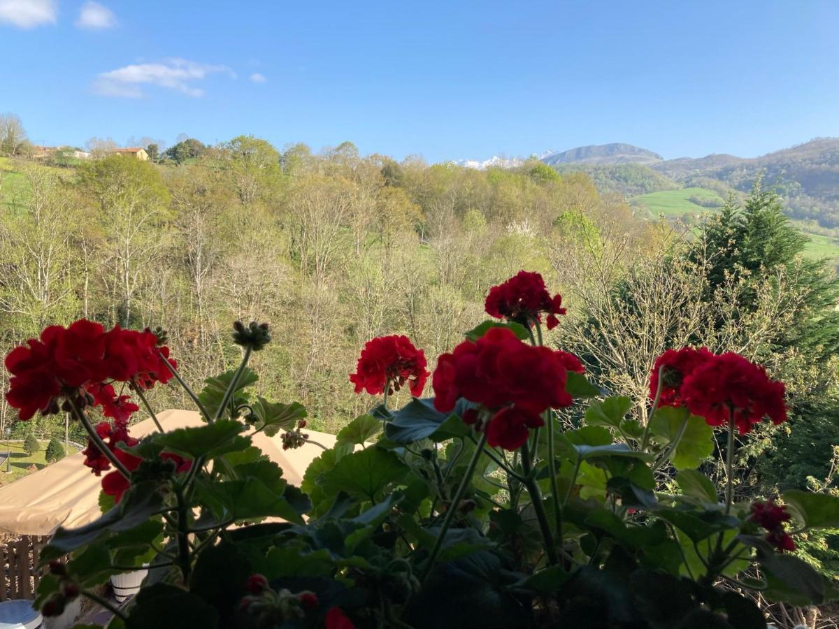 Casa Elena Cangas De Onis Con Wifi Y Parking Gratuito Exterior foto
