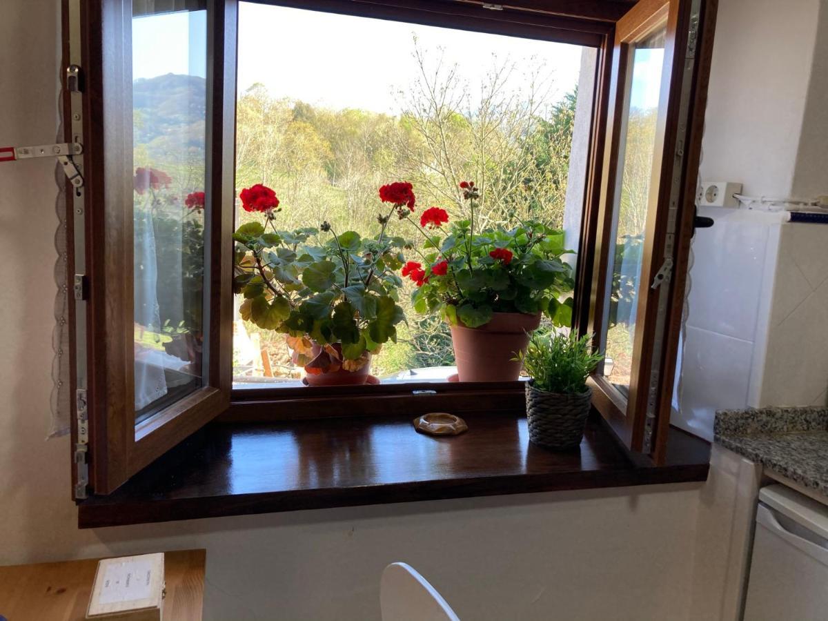 Casa Elena Cangas De Onis Con Wifi Y Parking Gratuito Exterior foto