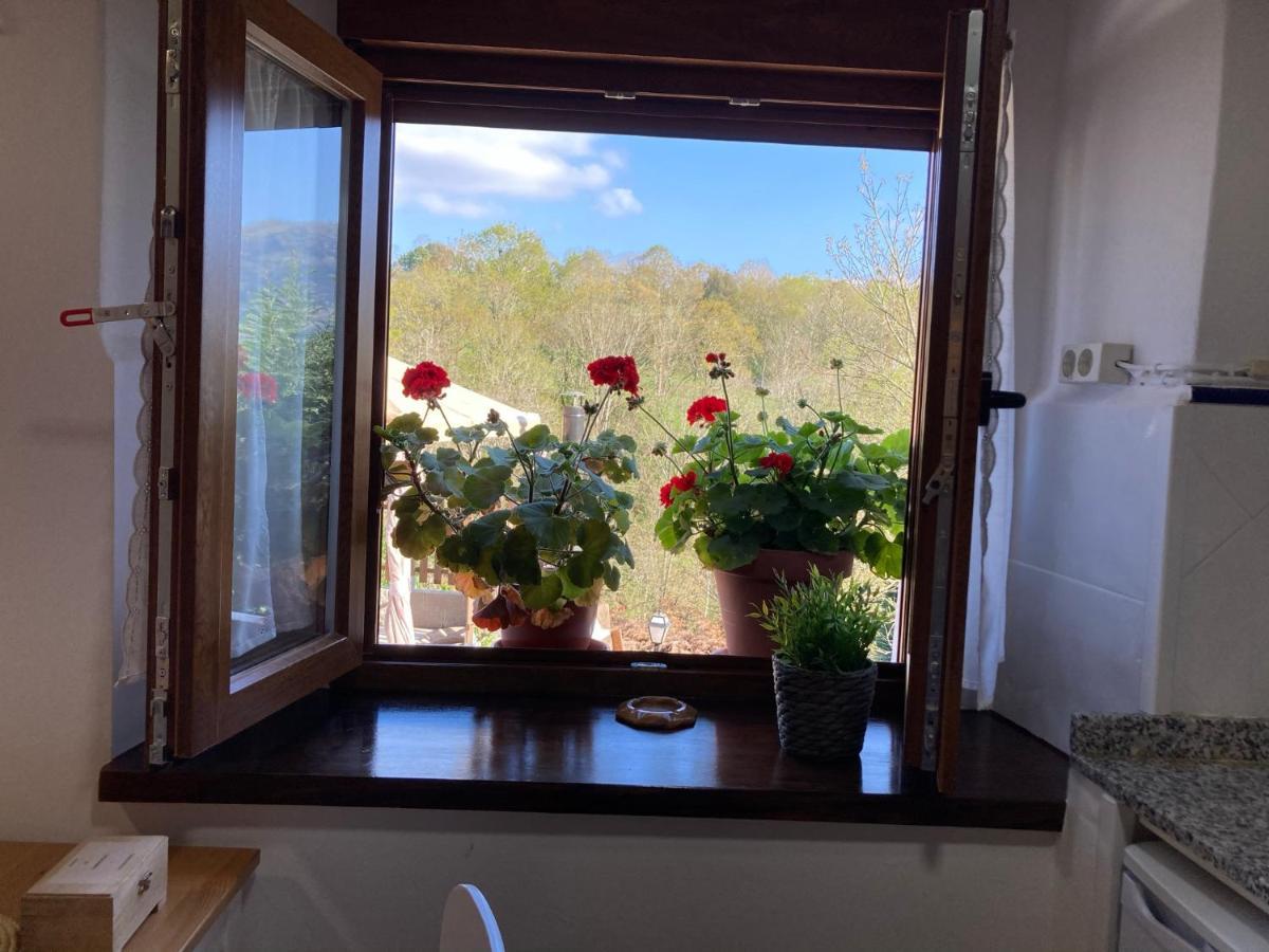 Casa Elena Cangas De Onis Con Wifi Y Parking Gratuito Exterior foto